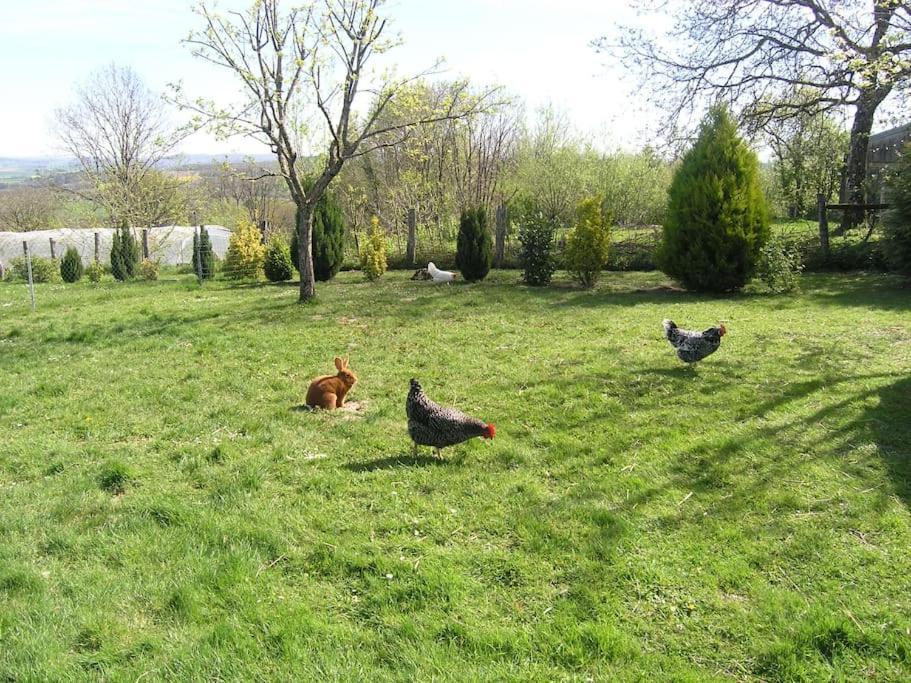 Les Jardins Des 3 Provinces- Gite Montcharvot Εξωτερικό φωτογραφία