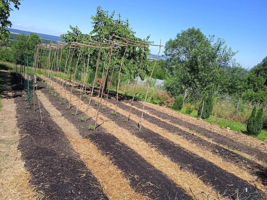 Les Jardins Des 3 Provinces- Gite Montcharvot Εξωτερικό φωτογραφία