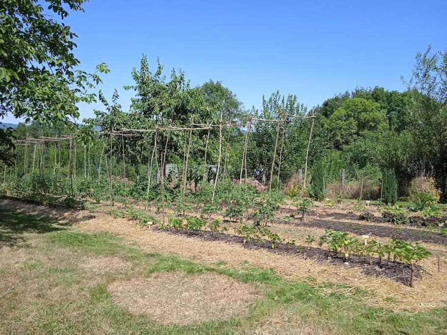 Les Jardins Des 3 Provinces- Gite Montcharvot Εξωτερικό φωτογραφία