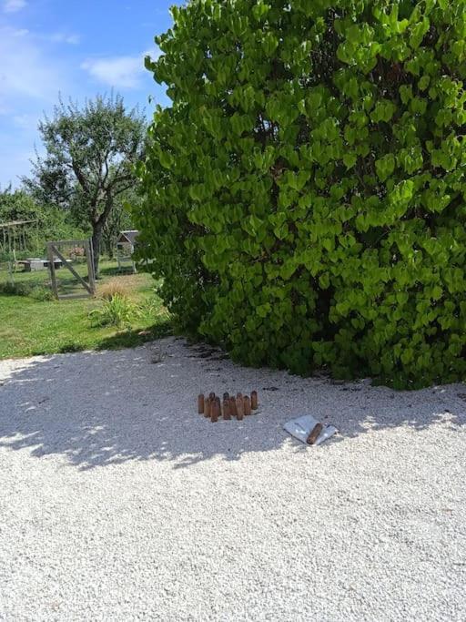 Les Jardins Des 3 Provinces- Gite Montcharvot Εξωτερικό φωτογραφία