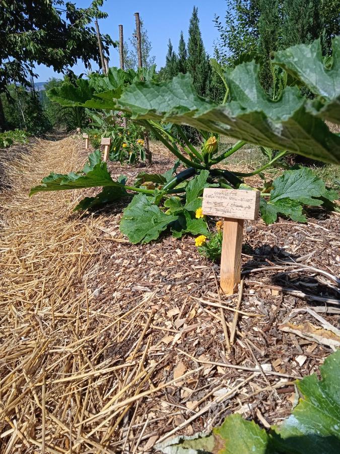 Les Jardins Des 3 Provinces- Gite Montcharvot Εξωτερικό φωτογραφία